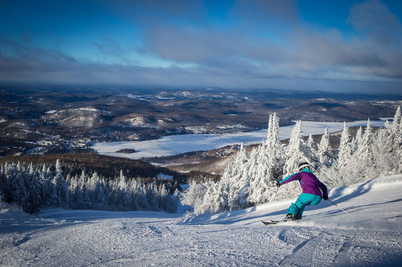 Skier on the slopes