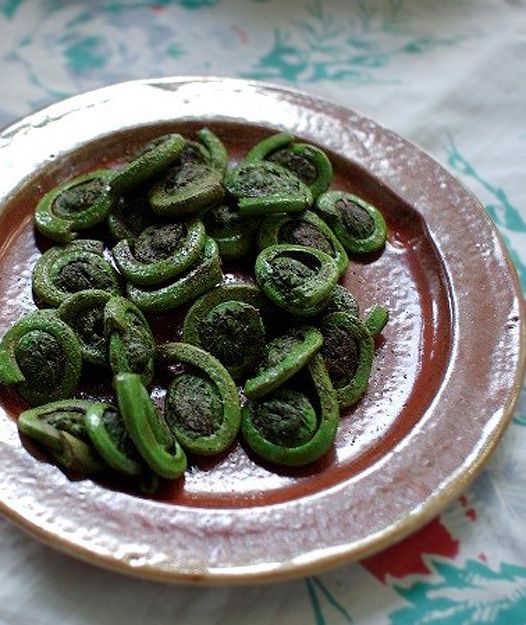 Fiddleheads