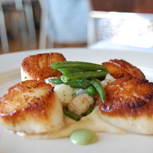 Scallops