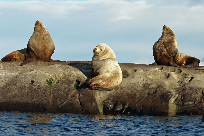 Southern Gulf Islands