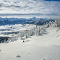 skiing in canada vs skiing in the usa