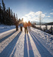 Winter in the Rockies