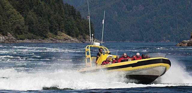 Zodiac boat tour