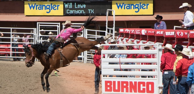 Bareback riding