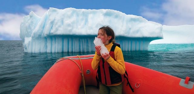 Icebergs in Newfoundland