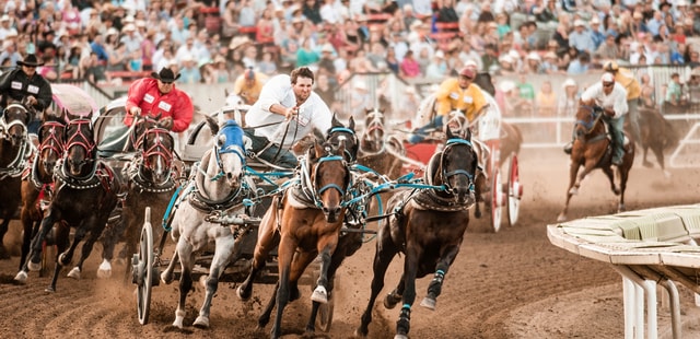 Chuckwagon races